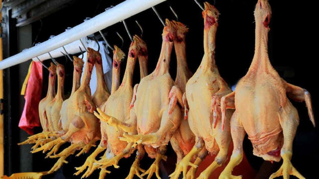 Chicken Prices
