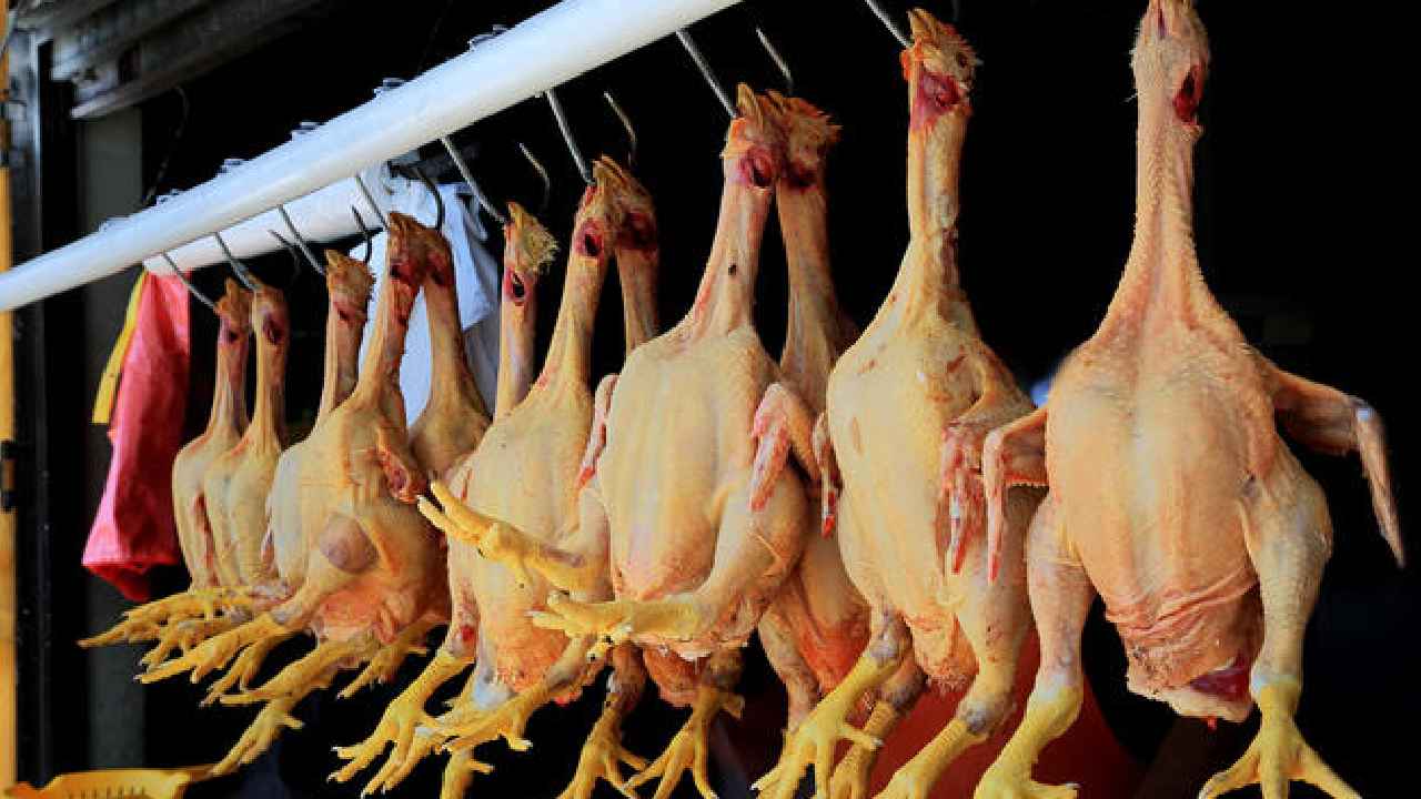 Chicken Prices : బాబోయ్.. కేజీ చికెన్ 720 రూపాయలు, భగ్గుమన్న కోడి ధర Chicken Prices : బాబోయ్.. కేజీ చికెన్ 720 రూపాయలు, భగ్గుమన్న కోడి ధర