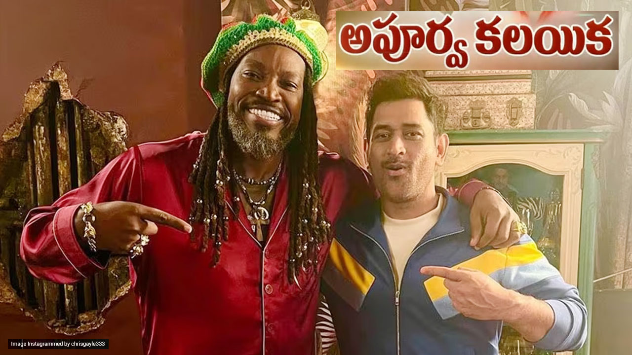 Chris Gayle And MS Dhoni Reunion: ధోనితో గేల్.. లాంగ్ లైవ్ ది లెజెండ్స్ Chris Gayle And MS Dhoni Reunion: ధోనితో గేల్.. లాంగ్ లైవ్ ది లెజెండ్స్