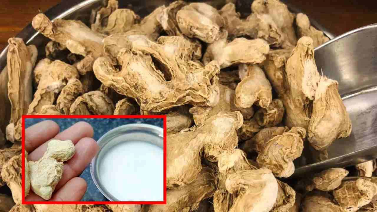 Joint Problems : కీళ్లకు సంబంధించిన సమస్యలతో బాధపడుతున్న వారికి ఉపశమనం కలిగించే శొంఠిపాలు ! Joint Problems : కీళ్లకు సంబంధించిన సమస్యలతో బాధపడుతున్న వారికి ఉపశమనం కలిగించే శొంఠిపాలు !