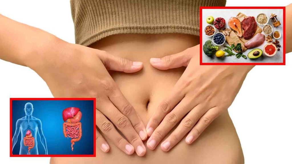 Digestion :