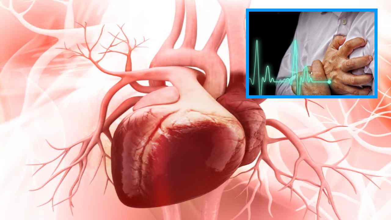 Heart Attack : సోమవారమే అధిక స్ధాయిలో గుండెపోటు ప్రమాదాలు చోటుచేసుకోవటానికి కారణాలు తెలుసా? Heart Attack : సోమవారమే అధిక స్ధాయిలో గుండెపోటు ప్రమాదాలు చోటుచేసుకోవటానికి కారణాలు తెలుసా?
