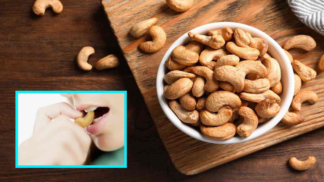Eating Cashew : వారంలో రెండు సార్లు కొద్ది మోతాదులో జీడిపప్పులు తింటే గుండె జబ్బులు దరిచేరవా ? Eating Cashew : వారంలో రెండు సార్లు కొద్ది మోతాదులో జీడిపప్పులు తింటే గుండె జబ్బులు దరిచేరవా ?