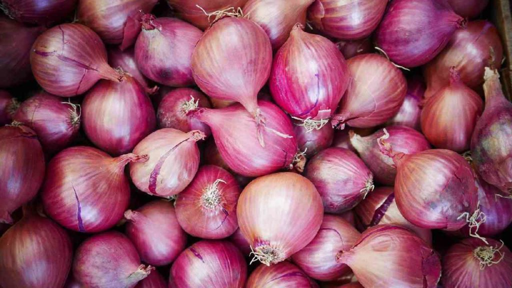 Onion