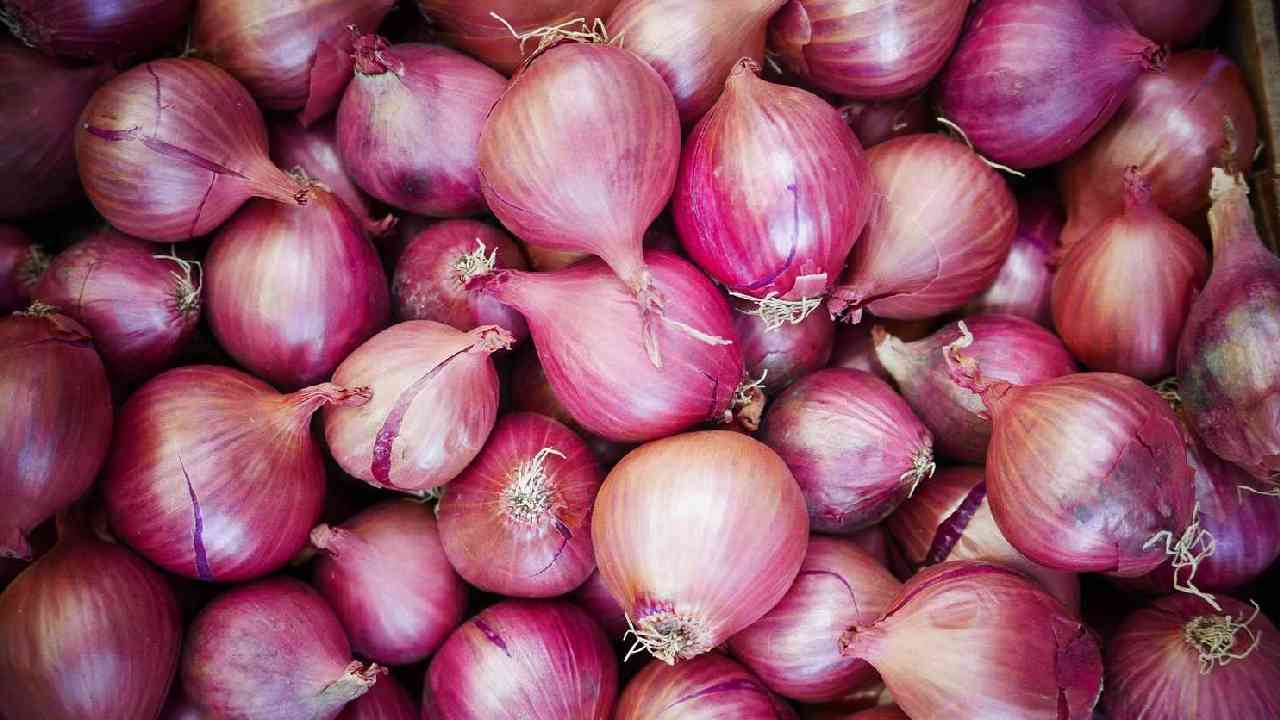 Onions: ఉల్లి ధరలు మరింత కన్నీరు తెప్పించకుండా.. కేంద్ర ప్రభుత్వం మరో కీలక నిర్ణయం Onions: ఉల్లి ధరలు మరింత కన్నీరు తెప్పించకుండా.. కేంద్ర ప్రభుత్వం మరో కీలక నిర్ణయం