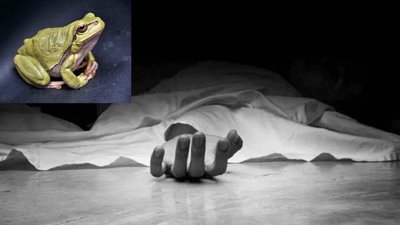 Frog Meat : బాబోయ్.. కప్పను కూర వండుకుని తిన్న కుటుంబం, ఒకరు మృతి, మరొకరి పరిస్థితి విషమం Frog Meat : బాబోయ్.. కప్పను కూర వండుకుని తిన్న కుటుంబం, ఒకరు మృతి, మరొకరి పరిస్థితి విషమం
