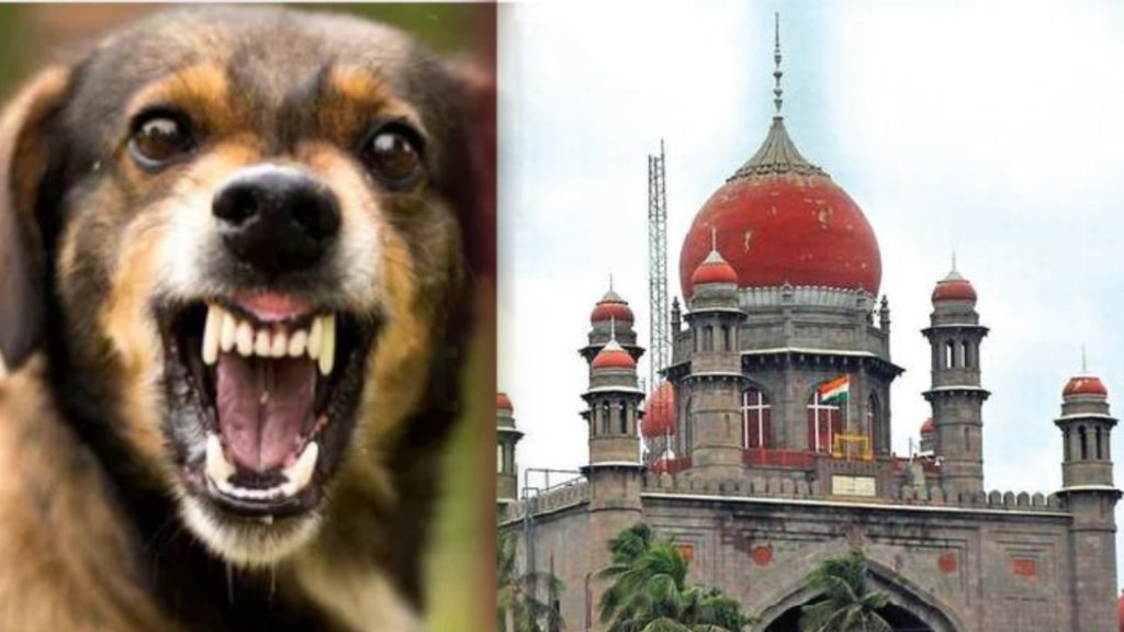 High Court fire on the incident of dog attack in Amber Peta..Hyderabad