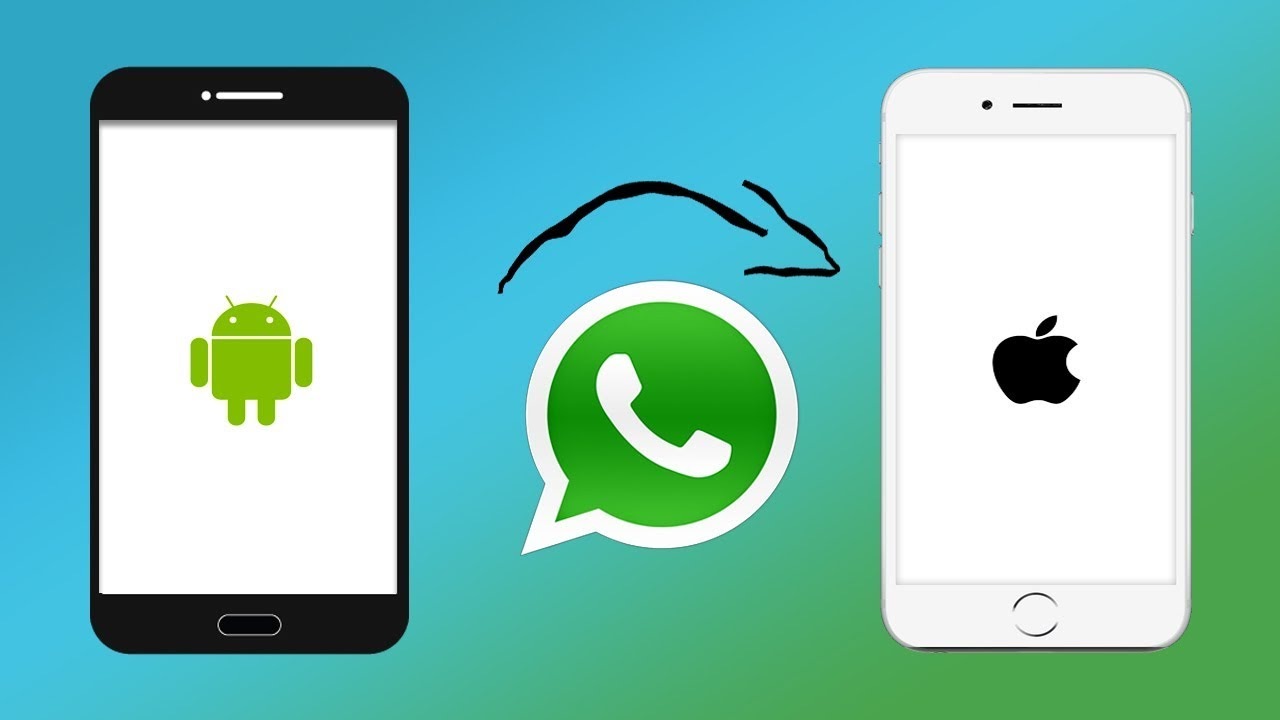 WhatsApp Messages : ఆండ్రాయిడ్ నుంచి ఐఫోన్కు మీ వాట్సాప్ మెసేజ్లను రీసెట్ చేయకుండానే ఎలా ట్రాన్స్ఫర్ చేయాలో తెలుసా? WhatsApp Messages : ఆండ్రాయిడ్ నుంచి ఐఫోన్కు మీ వాట్సాప్ మెసేజ్లను రీసెట్ చేయకుండానే ఎలా ట్రాన్స్ఫర్ చేయాలో తెలుసా?