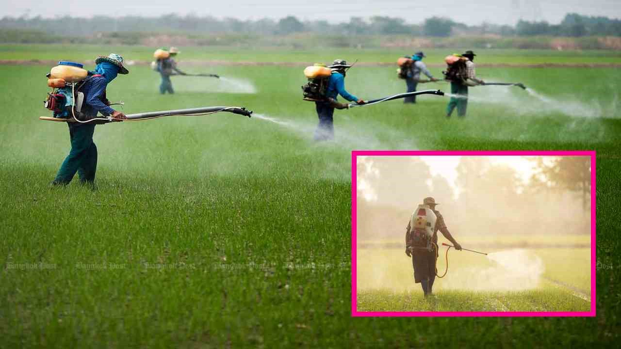 Biological Chemicals : పంటపొలాల్లో జీవ రసాయనాల వాడకం విషయంలో, భద్రపరుచుకునే క్రమంలో పాటించాల్సిన జాగ్రత్తలు! Biological Chemicals : పంటపొలాల్లో జీవ రసాయనాల వాడకం విషయంలో, భద్రపరుచుకునే క్రమంలో పాటించాల్సిన జాగ్రత్తలు!