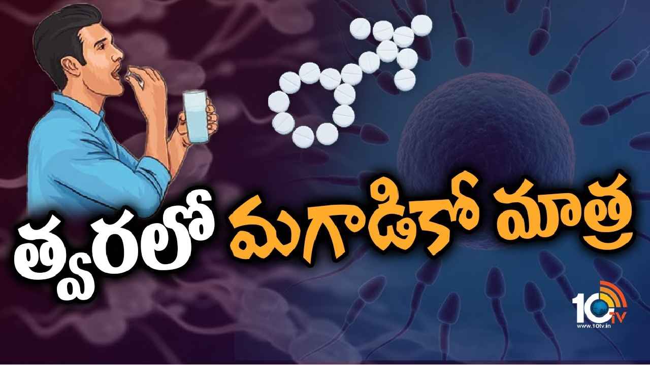 Male Contraceptive Pill : ఇక మగాళ్లకూ ఓ మాత్ర..! అతి త్వరలో అందుబాటులోకి సంతాన నిరోధక పిల్స్, ఎలా పని చేస్తాయి? ఎప్పుడు వేసుకోవాలి? Male Contraceptive Pill : ఇక మగాళ్లకూ ఓ మాత్ర..! అతి త్వరలో అందుబాటులోకి సంతాన నిరోధక పిల్స్, ఎలా పని చేస్తాయి? ఎప్పుడు వేసుకోవాలి?