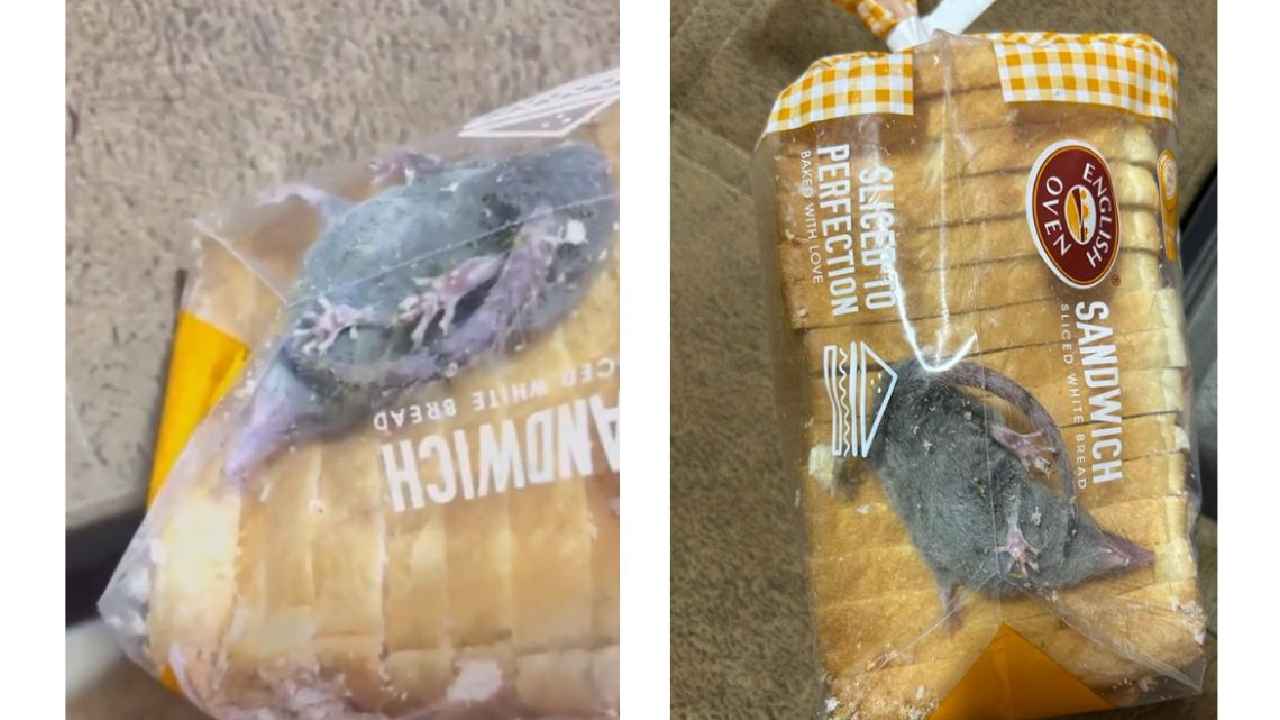 Rat Inside Bread : బాబోయ్.. బ్రెడ్ ప్యాకెట్లో ఎలుక, ఆన్లైన్ గ్రోసరీ సంస్థ నిర్వాకం Rat Inside Bread : బాబోయ్.. బ్రెడ్ ప్యాకెట్లో ఎలుక, ఆన్లైన్ గ్రోసరీ సంస్థ నిర్వాకం