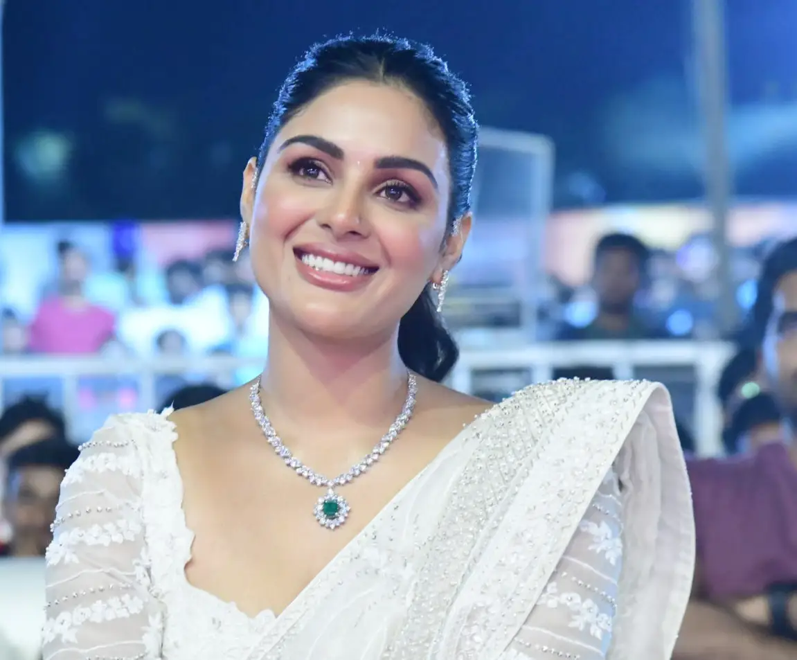 Sir Movie Pre Release Event