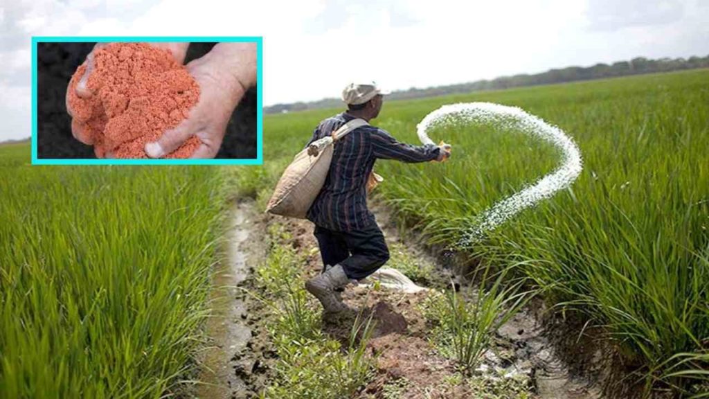 Use of potash fertilizers for higher yields of crops!