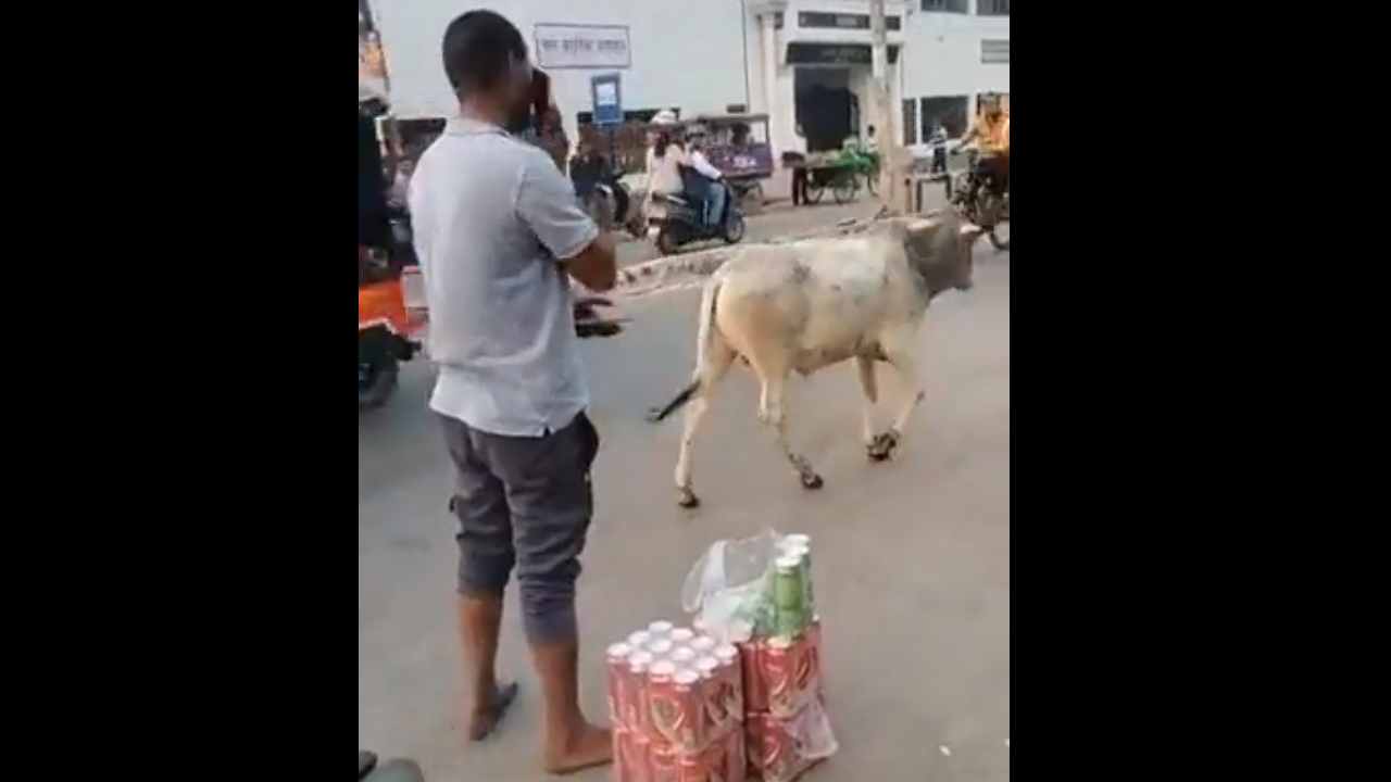 Uttar Pradesh: యాత్ర చేస్తున్న శివ భక్తులకు బీర్లు పంచిన వ్యక్తి.. అరెస్టు చేసిన పోలీసులు Uttar Pradesh: యాత్ర చేస్తున్న శివ భక్తులకు బీర్లు పంచిన వ్యక్తి.. అరెస్టు చేసిన పోలీసులు