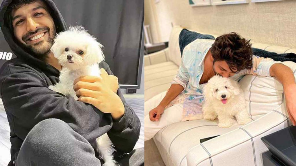 Bollywood hero Kartik Aryan said no girl can love him like his dog katori