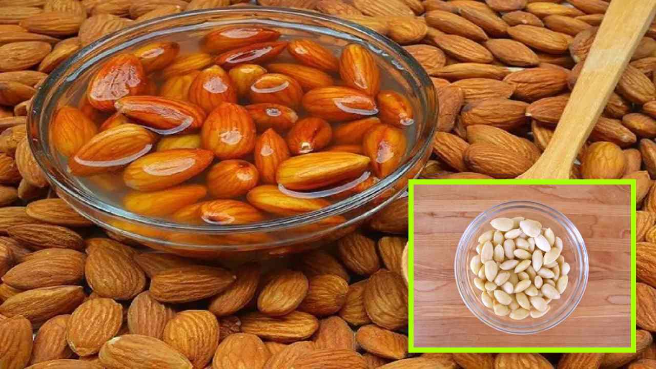 Soaked Almonds : సూక్ష్మపోషకాల లోపాన్ని నివారించటంతోపాటు, దీర్ఘకాలిక ఆరోగ్య సమస్యలు దరిచేరకుండా ఉండాలంటే నానబెట్టిన బాదం గింజలను తీసుకోవటం మంచిదా ! Soaked Almonds : సూక్ష్మపోషకాల లోపాన్ని నివారించటంతోపాటు, దీర్ఘకాలిక ఆరోగ్య సమస్యలు దరిచేరకుండా ఉండాలంటే నానబెట్టిన బాదం గింజలను తీసుకోవటం మంచిదా !