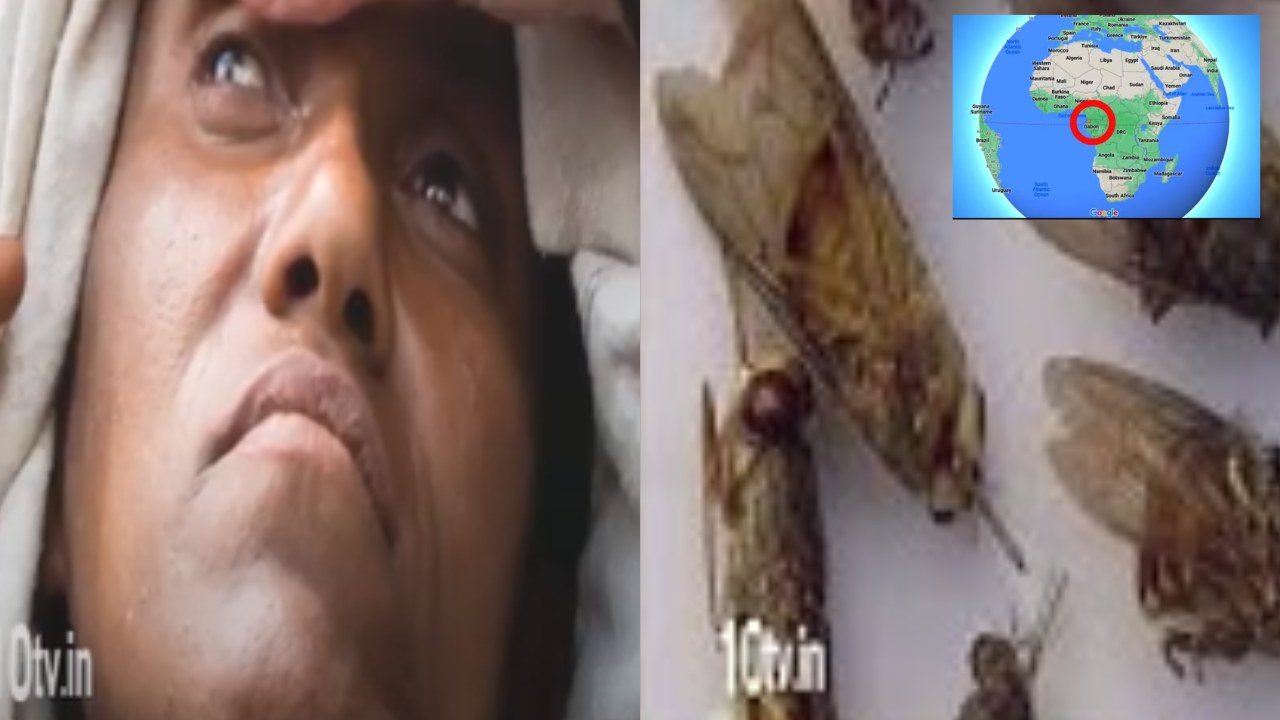 Strange Disease : ఆఫ్రికాలోని గినియాలో వింత వ్యాధి.. రక్తస్రావం, జ్వరంతో గంటల వ్యవధిలో రోగి మృతి Strange Disease : ఆఫ్రికాలోని గినియాలో వింత వ్యాధి.. రక్తస్రావం, జ్వరంతో గంటల వ్యవధిలో రోగి మృతి