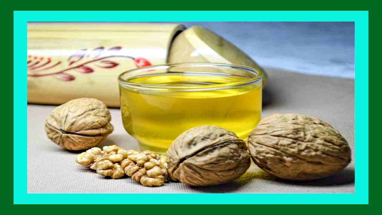 Walnut Oil : రక్త ప్రసరణ మెరుగుపర్చటంతోపాటు, అనేక ఇన్ఫెక్షన్ల నుండి ఉపశమనం కలిగించే వాల్నట్ అయిల్ ! Walnut Oil : రక్త ప్రసరణ మెరుగుపర్చటంతోపాటు, అనేక ఇన్ఫెక్షన్ల నుండి ఉపశమనం కలిగించే వాల్నట్ అయిల్ !