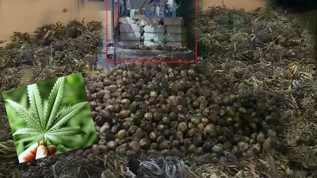Marijuana seizure case : రూ.10కోట్ల విలువ చేసే 6,545కిలోల గంజాయి స్వాధీనం..నిందితులకు 20 ఏళ్ల జైలుశిక్ష విధించిన కోర్టు Marijuana seizure case : రూ.10కోట్ల విలువ చేసే 6,545కిలోల గంజాయి స్వాధీనం..నిందితులకు 20 ఏళ్ల జైలుశిక్ష విధించిన కోర్టు