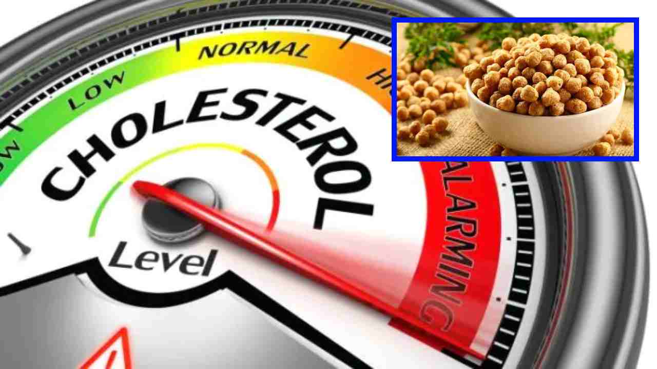 Meal Maker : చెడు కొలెస్ట్రాల్ స్థాయిలు తగ్గించి గుండెను ఆరోగ్యంగా ఉంచే మీల్ మేకర్ ! Meal Maker : చెడు కొలెస్ట్రాల్ స్థాయిలు తగ్గించి గుండెను ఆరోగ్యంగా ఉంచే మీల్ మేకర్ !