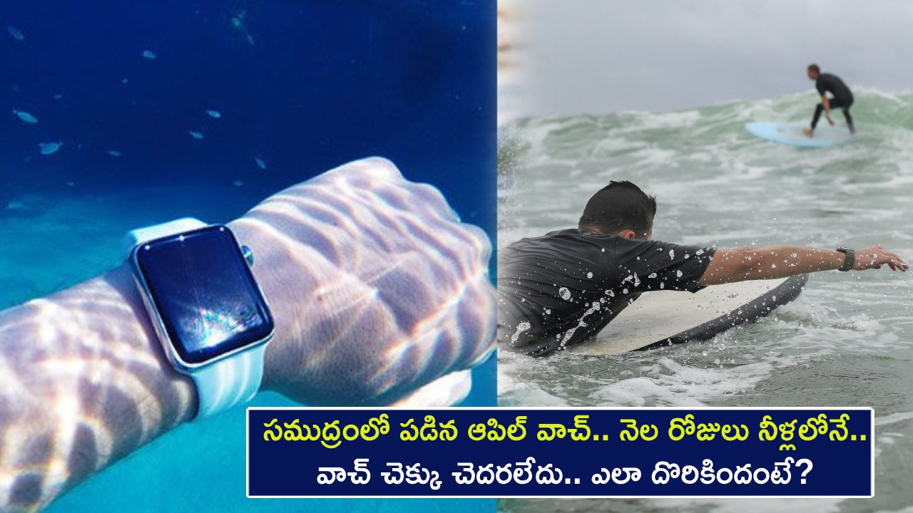 Apple Watch : సముద్రంలో పడిన ఆపిల్ వాచ్.. నెల రోజులు నీళ్లలోనే.. కొంచెం కూడా వాచ్ చెక్కు చెదరలేదు.. ఎలా దొరికిందంటే? Apple Watch : సముద్రంలో పడిన ఆపిల్ వాచ్.. నెల రోజులు నీళ్లలోనే.. కొంచెం కూడా వాచ్ చెక్కు చెదరలేదు.. ఎలా దొరికిందంటే?