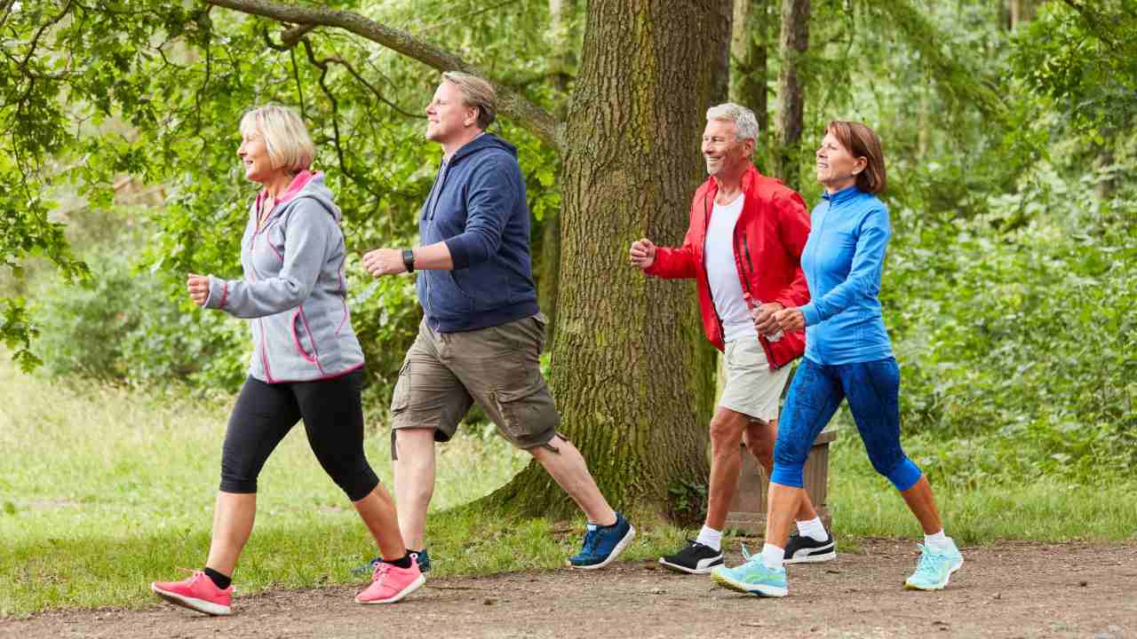 Daily Walk Best Health: ప్రతిరోజూ 11 నిమిషాలు వేగంగా నడిస్తే .. అకాల మరణాలను అడ్డుకోవచ్చా? పరిశోధనల్లో ఏం తేలిందంటే .. Daily Walk Best Health: ప్రతిరోజూ 11 నిమిషాలు వేగంగా నడిస్తే .. అకాల మరణాలను అడ్డుకోవచ్చా? పరిశోధనల్లో ఏం తేలిందంటే ..