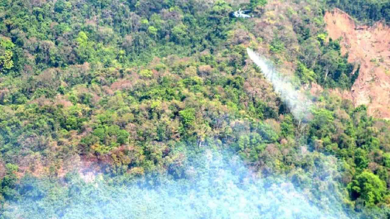 Goa Forest Fire: గోవాలో దావానలం.. తగలబడుతున్న అడవులు.. ప్రధాని మోదీ సమీక్ష Goa Forest Fire: గోవాలో దావానలం.. తగలబడుతున్న అడవులు.. ప్రధాని మోదీ సమీక్ష