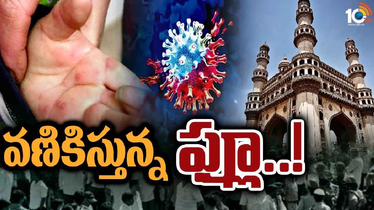 H3N2 Virus : బీ కేర్ఫుల్.. తెలంగాణను భయపెడుతున్న H3N2 వేరియంట్, పెరుగుతున్న కేసులు H3N2 Virus : బీ కేర్ఫుల్.. తెలంగాణను భయపెడుతున్న H3N2 వేరియంట్, పెరుగుతున్న కేసులు