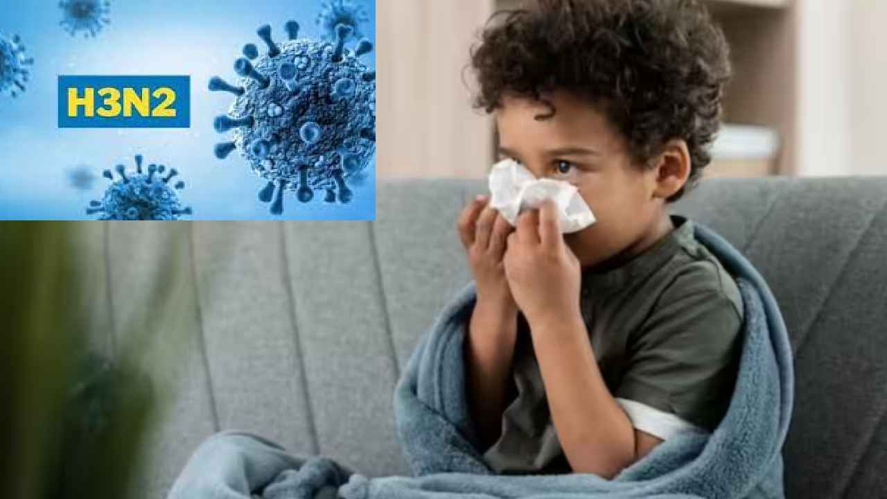 H3N2 Virus : H3N2 వైరస్ వర్రీ.. యాంటీబయాటిక్స్ వాడాలా? వద్దా? డాక్టర్ల కీలక సూచన H3N2 Virus : H3N2 వైరస్ వర్రీ.. యాంటీబయాటిక్స్ వాడాలా? వద్దా? డాక్టర్ల కీలక సూచన