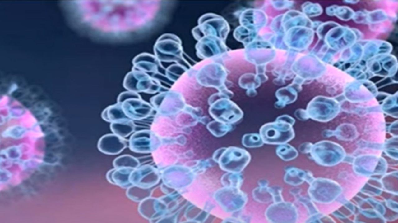 H3N2 virus : దేశంలో భయపెడుతున్న కొత్త వైరస్.. లక్షణాలేంటో తెలుసా? H3N2 virus : దేశంలో భయపెడుతున్న కొత్త వైరస్.. లక్షణాలేంటో తెలుసా?