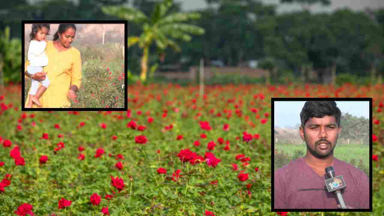 Flower Gardens : పూలతోటల సాగుతో లాభాలు పండిస్తున్న యువదంపతులు ! Flower Gardens : పూలతోటల సాగుతో లాభాలు పండిస్తున్న యువదంపతులు !