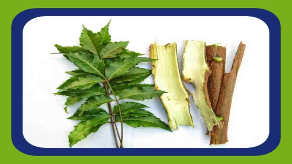Neem bark and leaves