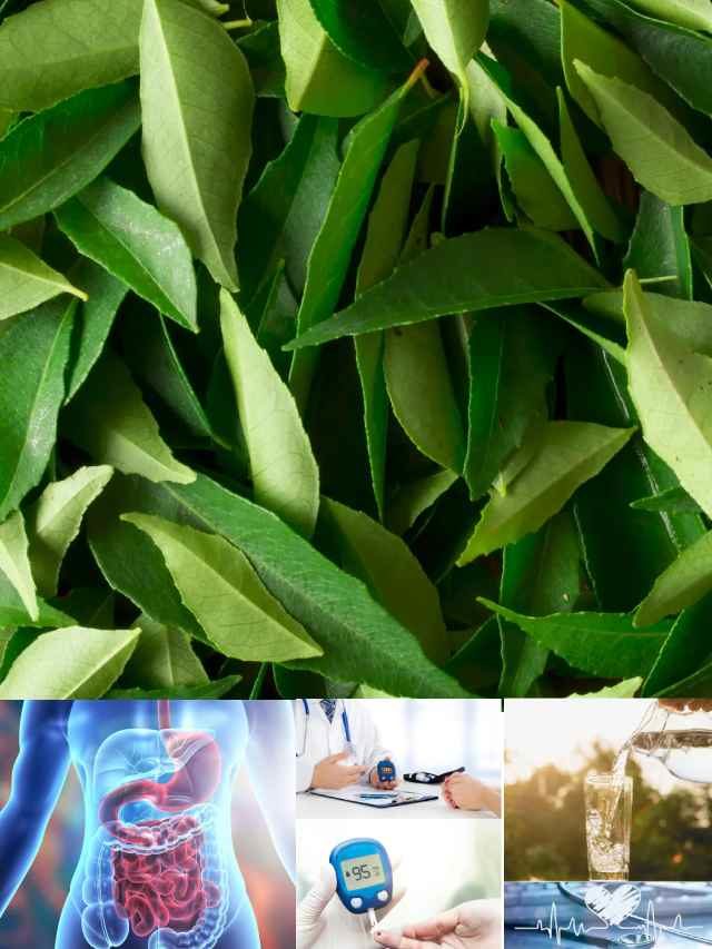 >కూరలోని కరివేపాకూ తినాల్సిందే