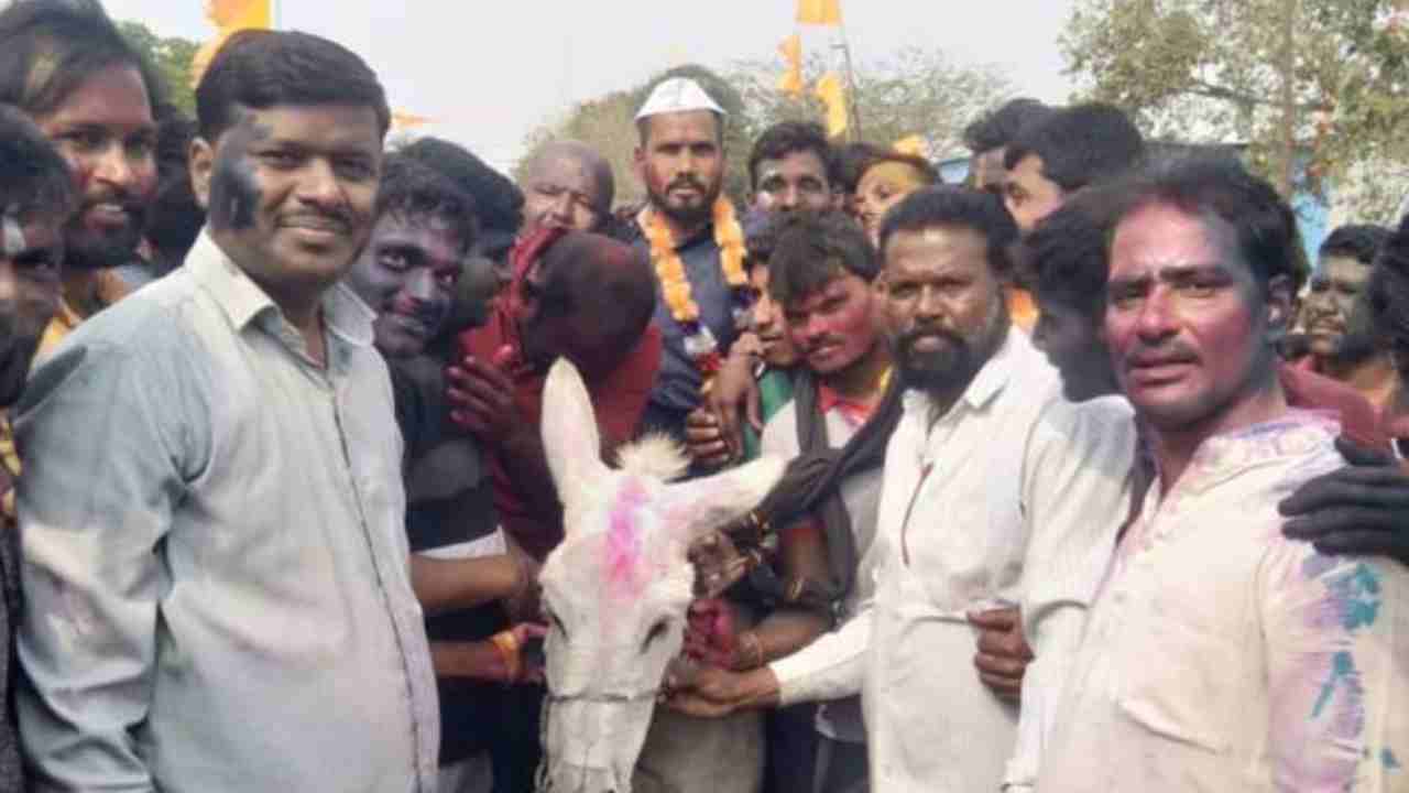 New Son in law Procession: కొత్త అల్లుడ్ని గాడిదపై ఊరేగించిన గ్రామస్తులు.. వీడియో వైరల్ New Son in law Procession: కొత్త అల్లుడ్ని గాడిదపై ఊరేగించిన గ్రామస్తులు.. వీడియో వైరల్