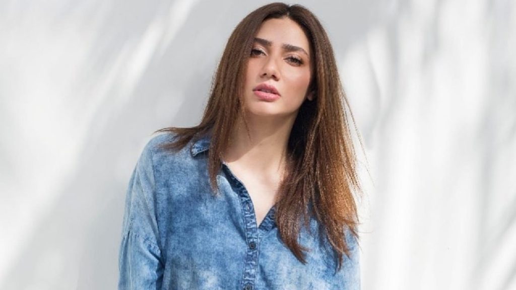 Pakistan Senator comments on Mahira Khan and shah rukh khan