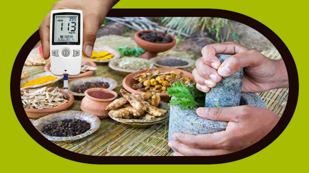 Blood Sugar : రక్తంలో చక్కెర స్ధాయిలను నియంత్రణలో ఉంచటంలో సహాయపడే ఆయుర్వేద మూలికలు ఇవే ! Blood Sugar : రక్తంలో చక్కెర స్ధాయిలను నియంత్రణలో ఉంచటంలో సహాయపడే ఆయుర్వేద మూలికలు ఇవే !