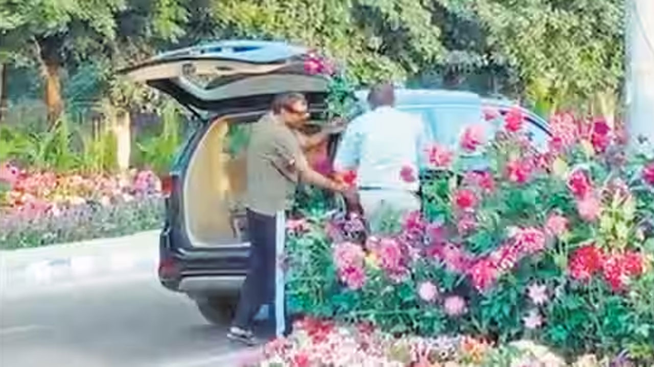 Gurugram: రోడ్డు మీద పూలకుండీలు దొంగిలించిన కియా కారు ఓనర్ మీద కేసు నమోదు Gurugram: రోడ్డు మీద పూలకుండీలు దొంగిలించిన కియా కారు ఓనర్ మీద కేసు నమోదు