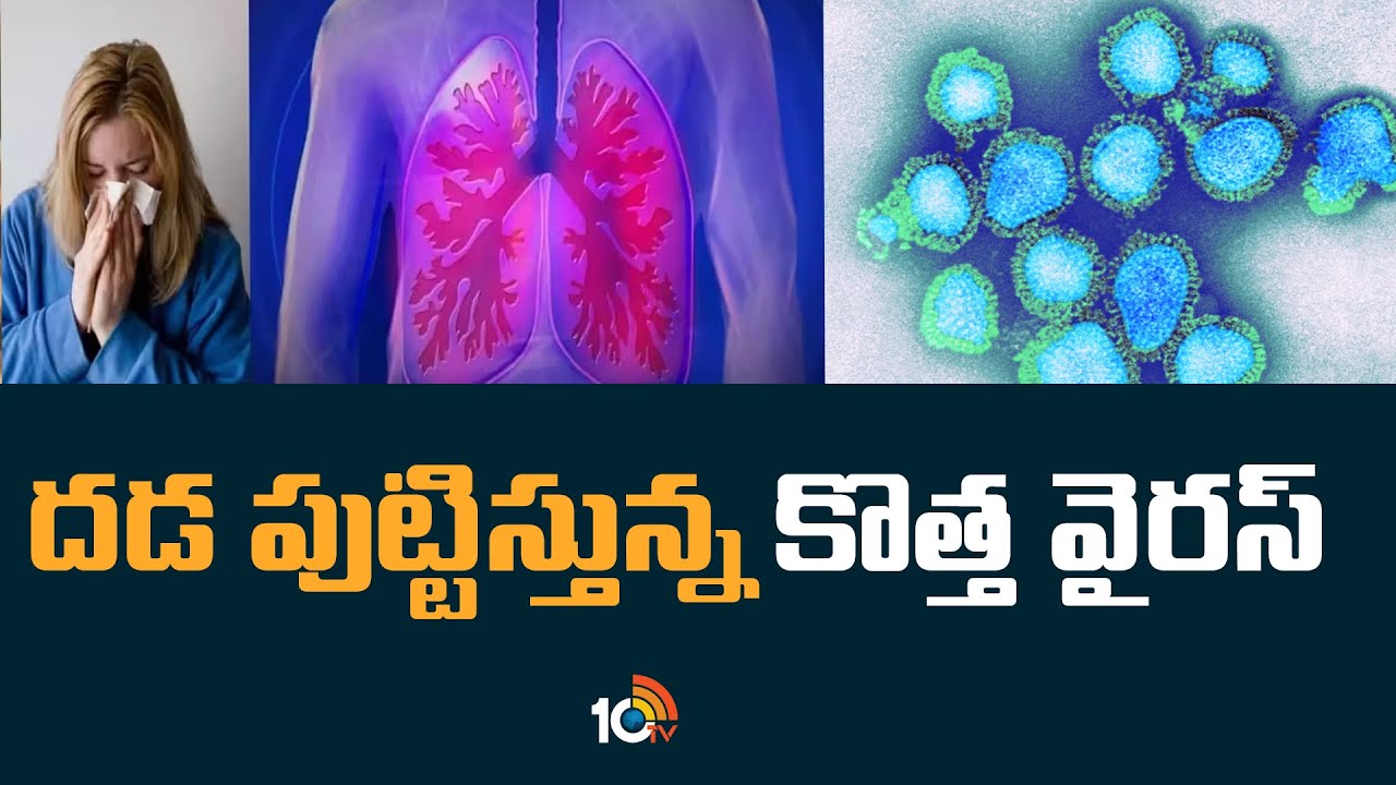 H3N2 Virus: దడ పుట్టిస్తున్న కొత్త వైరస్
