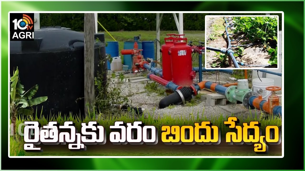 Drip Irrigation : తక్కువ నీటితోనే అధిక విస్తీర్ణంలో పంటల సాగు.. రైతులకు వరంగా బిందు సేద్యం Drip Irrigation : తక్కువ నీటితోనే అధిక విస్తీర్ణంలో పంటల సాగు.. రైతులకు వరంగా బిందు సేద్యం