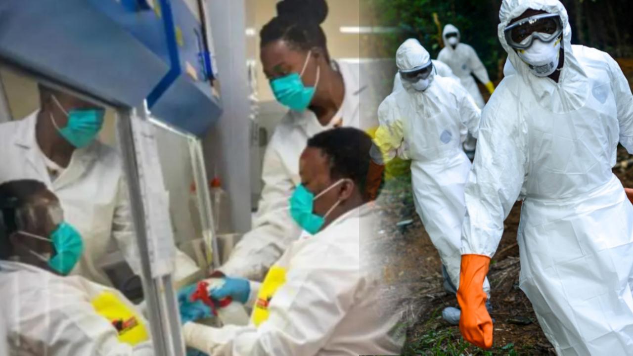 Africa : ఆఫ్రికాలో ప్రాణం తీస్తున్న మిస్టరీ వ్యాధి .. ముక్కు నుంచి రక్తస్రావంతో 24 గంటల్లో ముగ్గురు మృతి Africa : ఆఫ్రికాలో ప్రాణం తీస్తున్న మిస్టరీ వ్యాధి .. ముక్కు నుంచి రక్తస్రావంతో 24 గంటల్లో ముగ్గురు మృతి