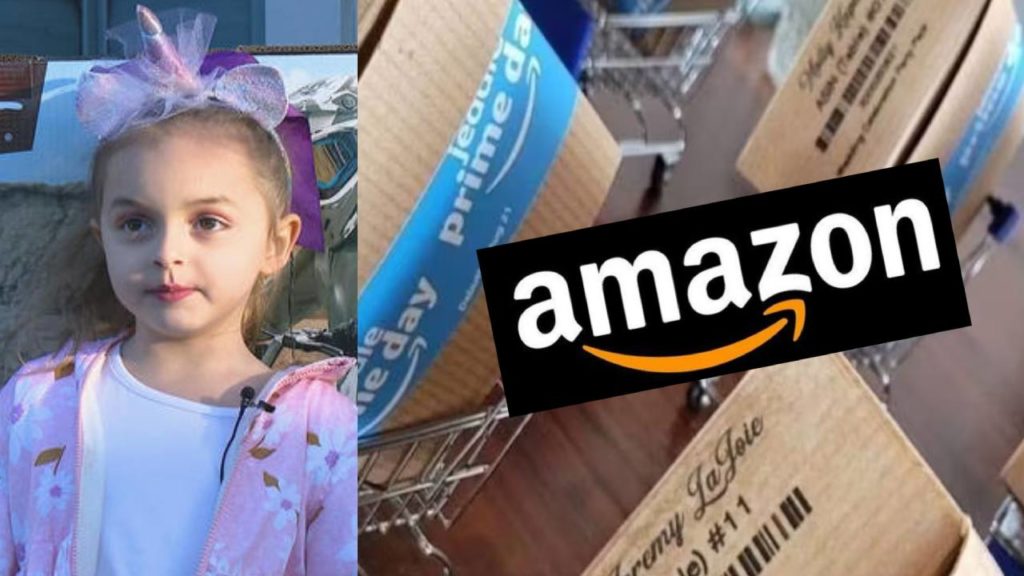 5 year old girl Orders amazon shopping worth Two lakhs 47 Thousand