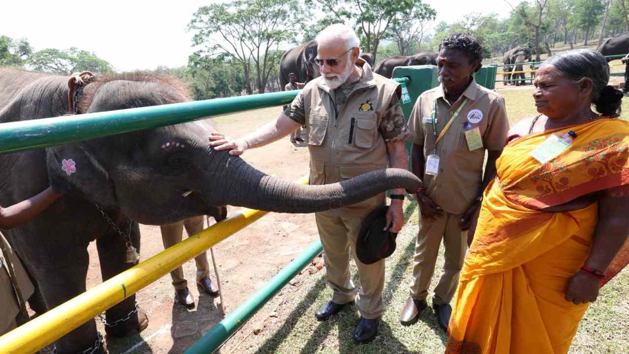 Narendra Modi visits The Elephant Whisperers movie Elephants 