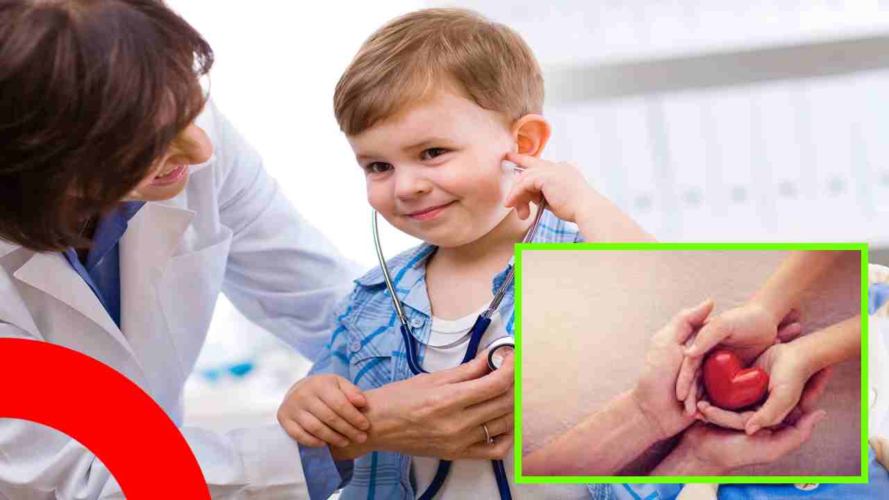 Children Heart Health : మీ పిల్లల గుండె ఆరోగ్యం పట్ల ఎలాంటి జాగ్రత్తలు పాటించాలంటే ? Children Heart Health : మీ పిల్లల గుండె ఆరోగ్యం పట్ల ఎలాంటి జాగ్రత్తలు పాటించాలంటే ?