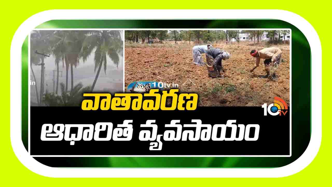 Climate Agriculture : శాస్త్రవేత్తలు అందిస్తున్న వాతావరణ అధారిత వ్యవసాయ సూచనలు Climate Agriculture : శాస్త్రవేత్తలు అందిస్తున్న వాతావరణ అధారిత వ్యవసాయ సూచనలు