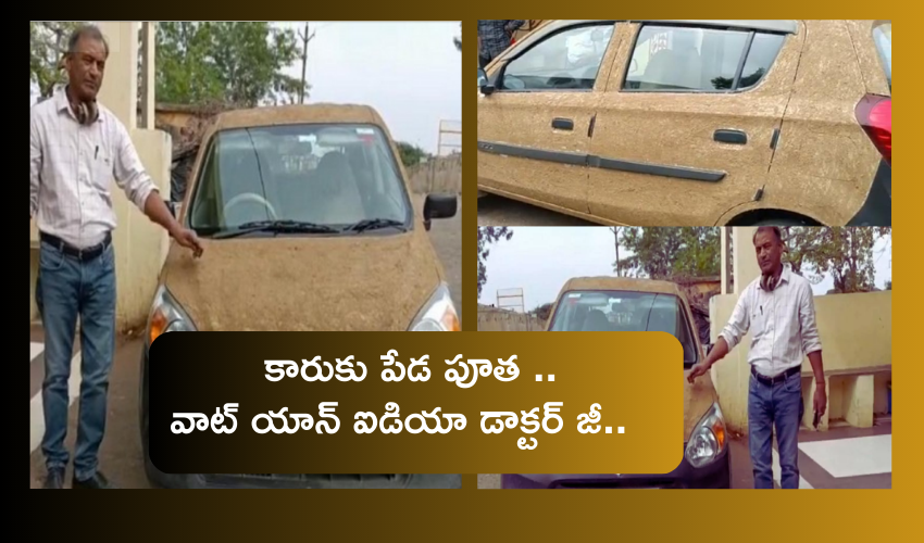 Cow Dung coating car