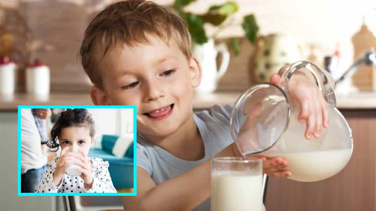 Drink Milk Every Day : పిల్లలు ప్రతిరోజూ పాలు తాగాల్సిన అవసరం ఉందా? ఇది పిల్లలకు మంచిదా? Drink Milk Every Day : పిల్లలు ప్రతిరోజూ పాలు తాగాల్సిన అవసరం ఉందా? ఇది పిల్లలకు మంచిదా?