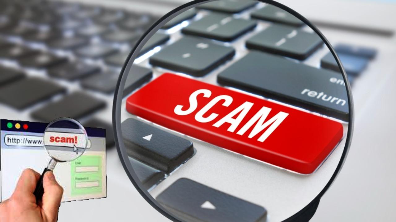 Fake Websites Scam Scammers creating fake websites of D-Mart, Big Basket, and Big Bazar to steal your money, how to stay safe