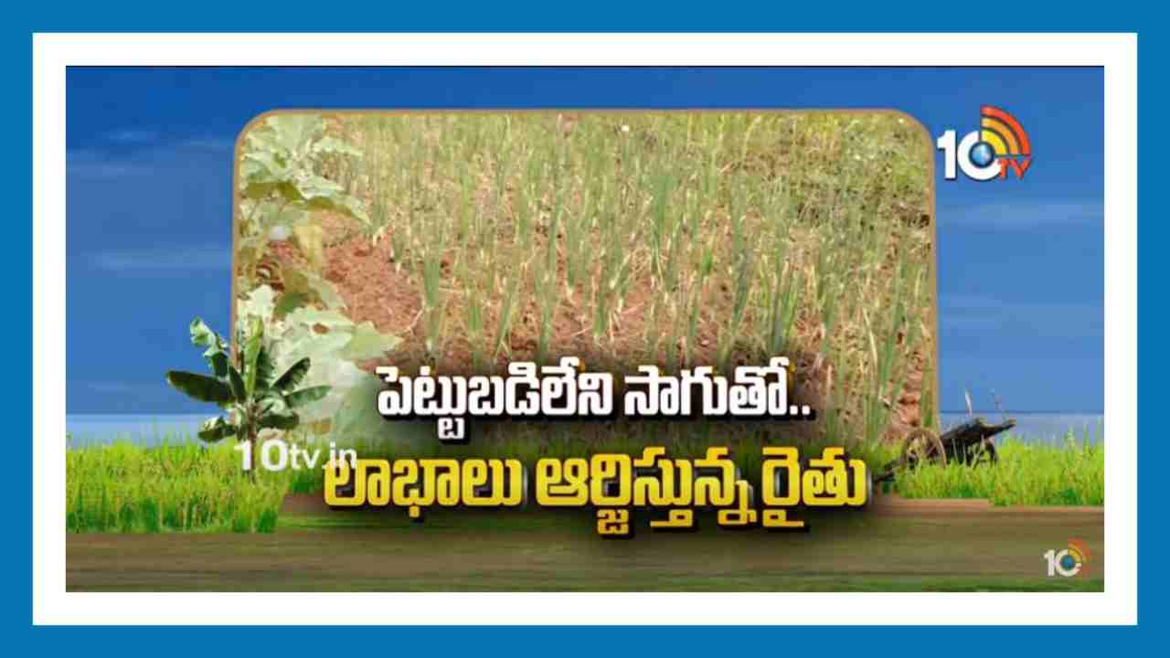 Farming without Investing : పెట్టుబడిలేని సాగుతో.. లాభాలు ఆర్జిస్తున్న రైతు Farming without Investing : పెట్టుబడిలేని సాగుతో.. లాభాలు ఆర్జిస్తున్న రైతు