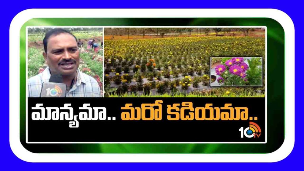 Flowers Farming