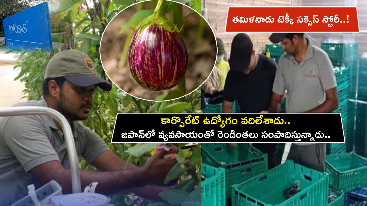Infosys Techie : కార్పొరేట్ ఉద్యోగం వదిలేసి.. జపాన్లో వ్యవసాయంతో రెండింతలు సంపాదిస్తున్నాడు.. తమిళనాడు టెక్కీ సక్సెస్ స్టోరీ..! Infosys Techie : కార్పొరేట్ ఉద్యోగం వదిలేసి.. జపాన్లో వ్యవసాయంతో రెండింతలు సంపాదిస్తున్నాడు.. తమిళనాడు టెక్కీ సక్సెస్ స్టోరీ..!